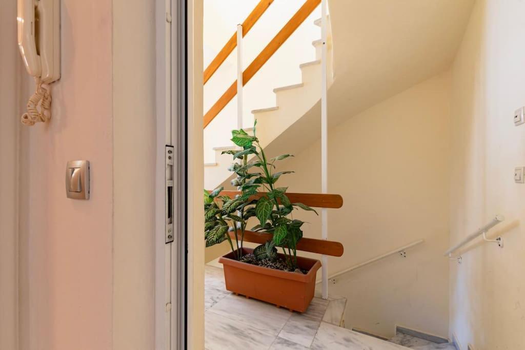Appartement Morpheus Lumina
