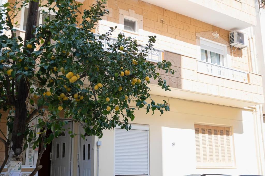 Appartement Morpheus Lumina *